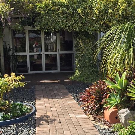 Gasthaus The Olive Grove Te Kopuru Exterior foto